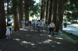 まずは大雄寺の杉並木から。自分の干支のお地蔵さんにごあいさつしながら山門へ。